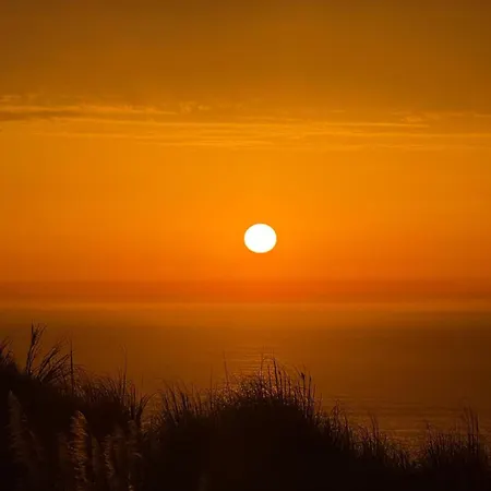 Apartment Pianist's Ocean Retreat Near Ericeira - Sao Juliao - Surf - Pets Allowed Carvoeira